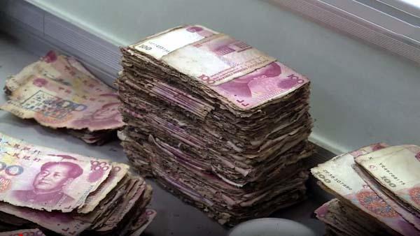 淮北一农民将200万现金埋在地里5年,挖出时那叫一个心疼!