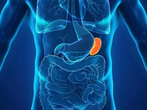 中医的“脾”和现代医学的“脾脏”有什么不同?_新浪新闻