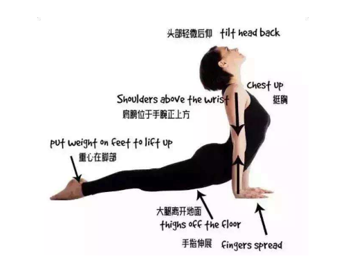 如何解决背部肥胖问题2步告别虎背熊腰拥有线条优美的美背