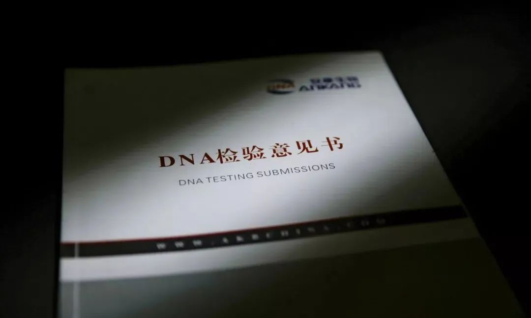 欢快!亲子鉴定是什么原理"谨慎判断"-第2张图片-瑞康博客