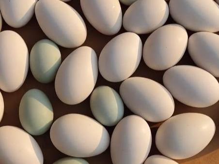 自己腌制的咸鸭蛋没有油大厨记住这一步保你个个留油