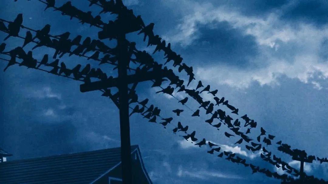 希区柯克离世40年了,是他教会了大家什么是真正的电影语言!