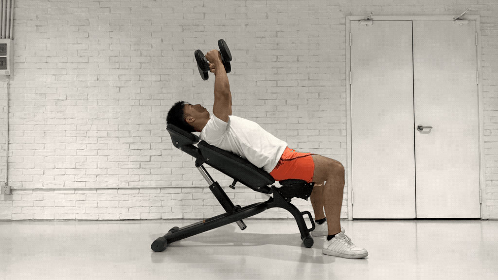 动作二:哑铃飞鸟