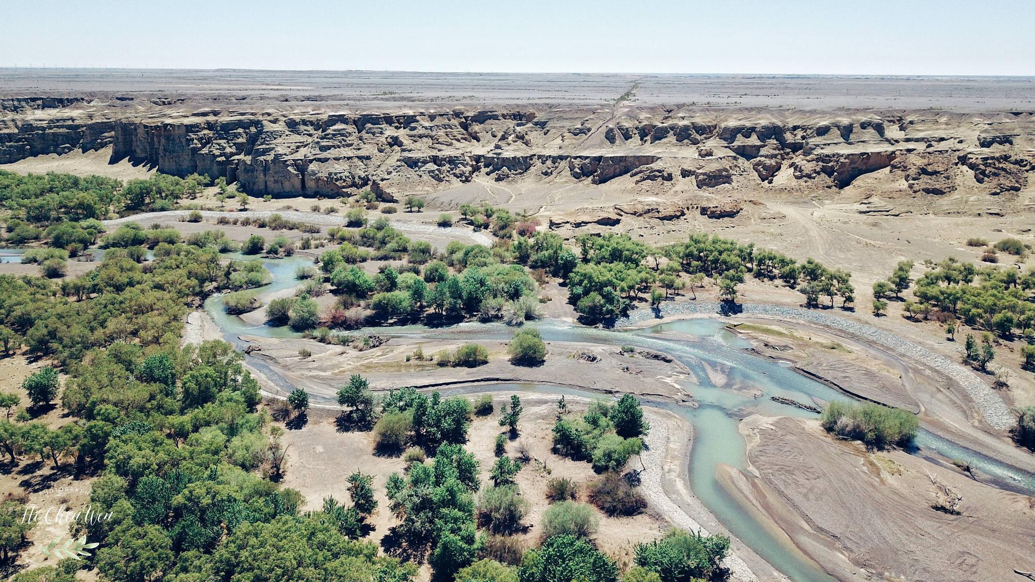 实拍白杨河大峡谷,树木葱茏,溪流潺潺,却鲜为人知