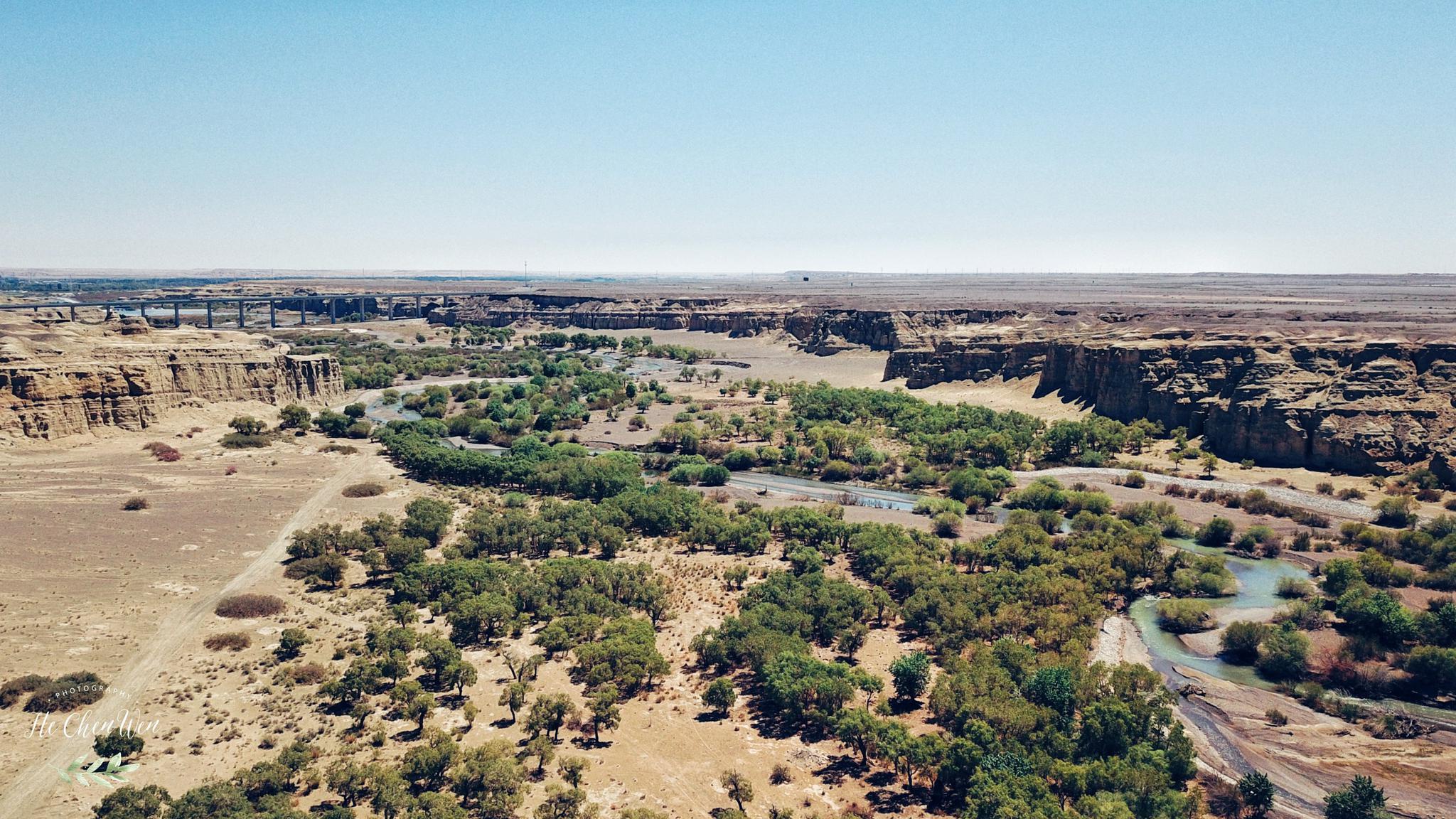 实拍白杨河大峡谷,树木葱茏,溪流潺潺,却鲜为人知