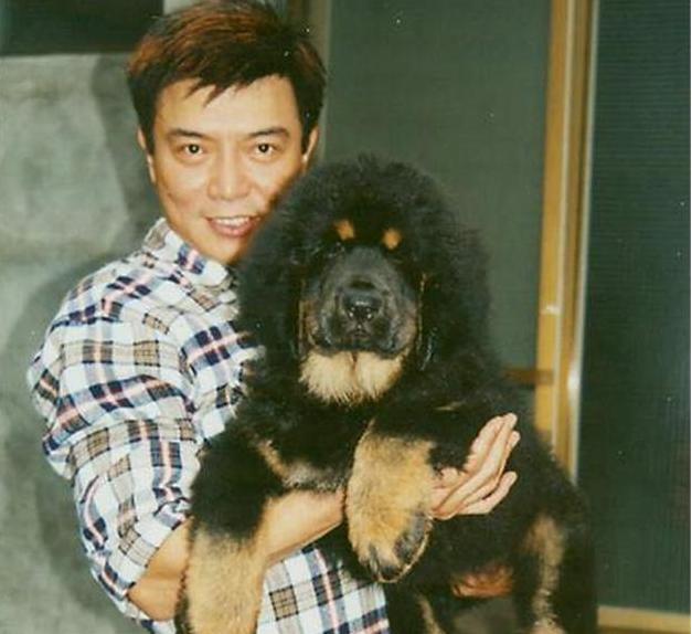 从"琼瑶小生"到"藏獒养殖之父",被迫娶妻的张佩华,如今怎样了?