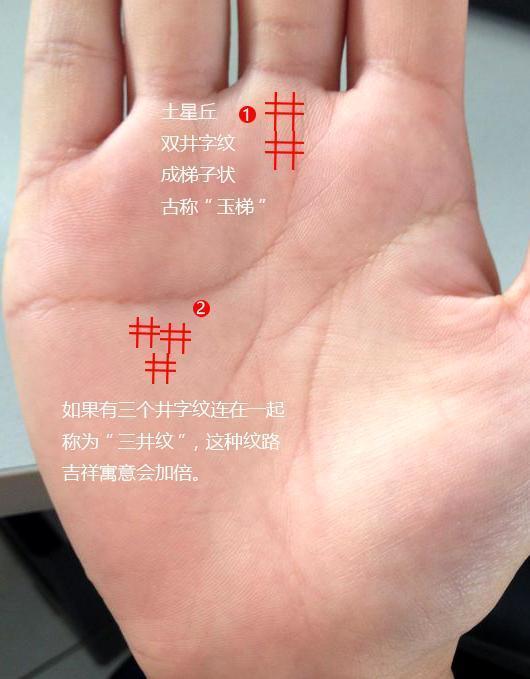 一生不缺钱用,天生的富贵命格,一生不愁钱|手相|一生|手掌_新浪新闻