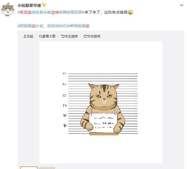 泰国警方逮捕小猫,各国网友纷纷p图,最后竟发现入狱可能是假的