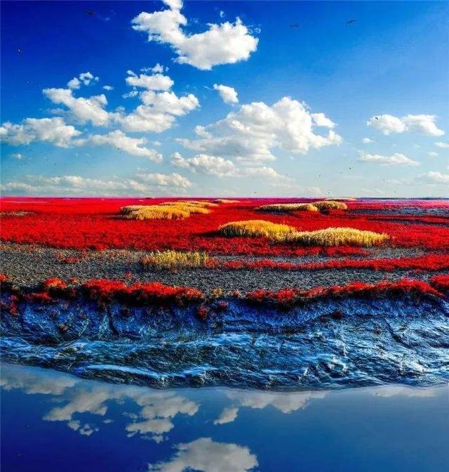 中国最浪漫的海岸线,有世界最大的芦苇荡!还有情侣必来的红海滩