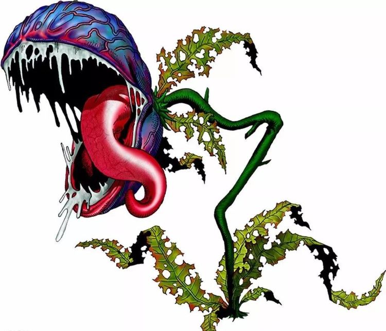 揭秘食人花吃人事件,真的有传说的那么恐怖吗?