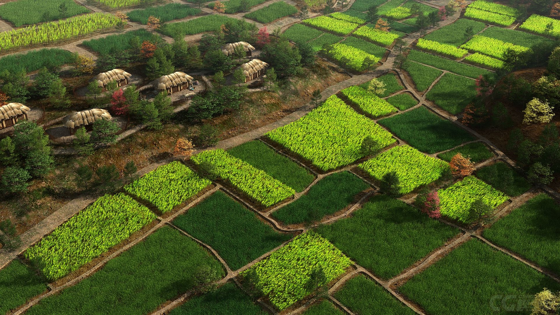 农村有些土地宁愿丢荒也不给别人承包为啥呢看完心里有数了