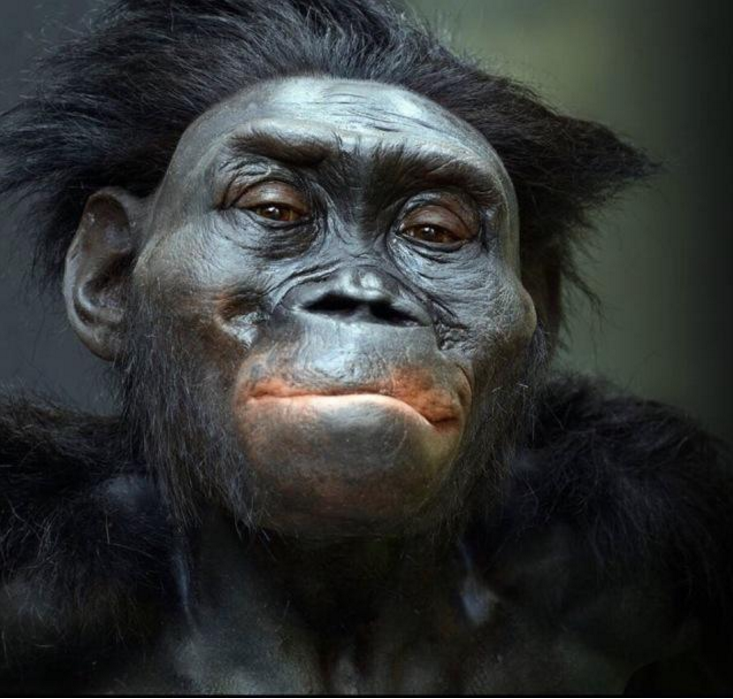 古猿是从鱼类进化而来的?每个不断优化的细节都是证据