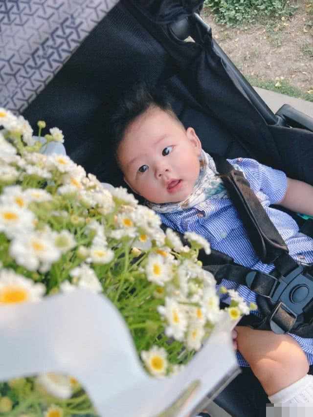 马剑越和老公带6个月儿子外出放风,三条大眼肉嘟嘟像爸爸,萌翻
