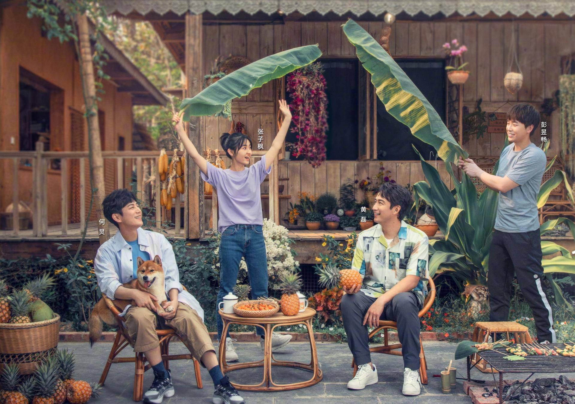 向往的生活4一只羊上了热搜是情怀还是营销手段