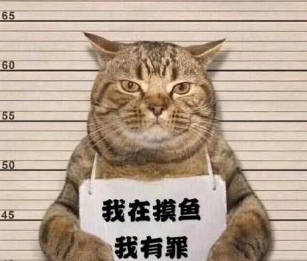 泰国警方逮捕小猫,各国网友纷纷p图,最后竟发现入狱可能是假的