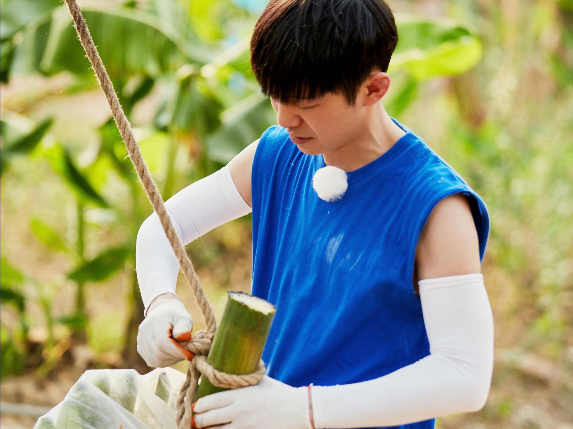 向往的生活4一只羊上了热搜是情怀还是营销手段