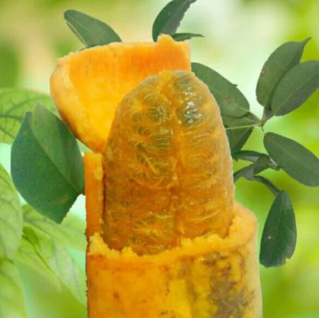 女性不想显老,常食4种食物,排毒养颜,抵抗衰老,预防妇科疾病|刺果