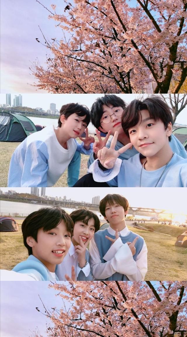 如果你喜欢养成系的孩子,除了tnt还可以看看boystory!