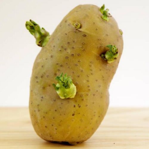 土豆被称为"蔬菜之王",但医生提醒4个禁忌要知道,会越吃越丑