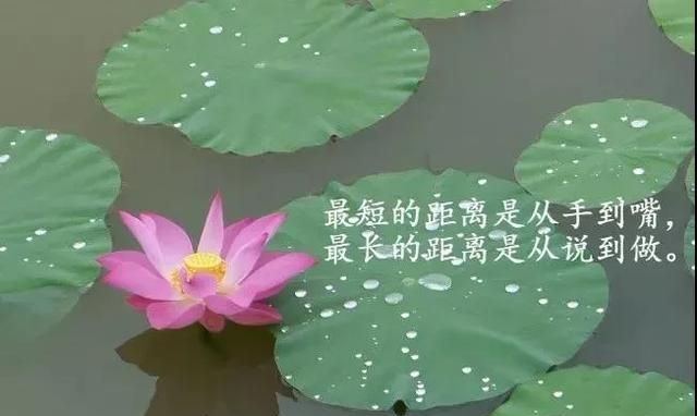 朋友圈感悟人生的经典哲理短句早安心语唯美带字图片