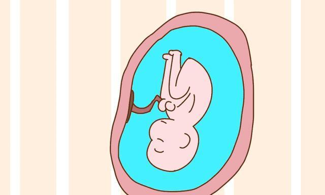 胎儿在肚子里卡通图片图片