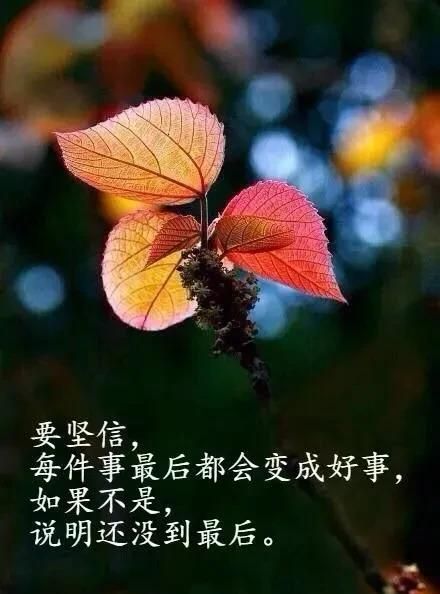 朋友圈感悟人生的经典哲理短句早安心语唯美带字图片