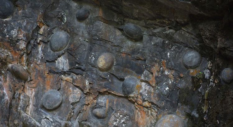 中国最奇特石头,30年产一蛋,悬赏50万,至今没人能破解|破解|水族|三都