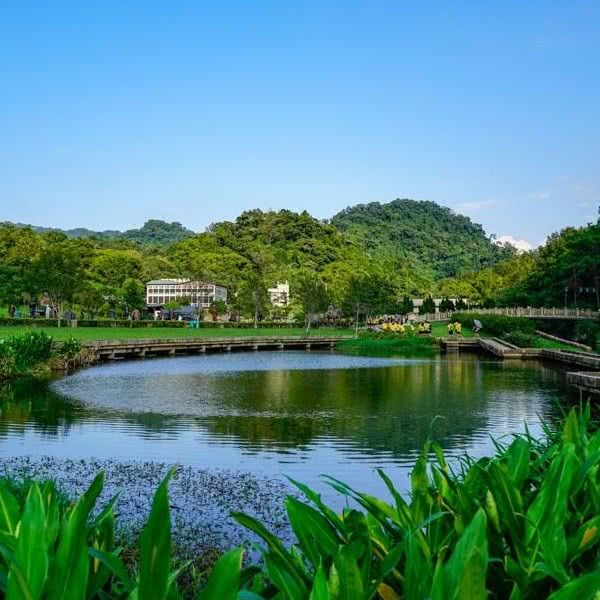 5月开始,时来运转,喜事不断,人生进入上上签的3大星座