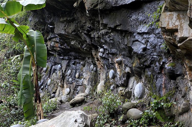 中国最奇特石头,30年产一蛋,悬赏50万,至今没人能破解|破解|水族|三都