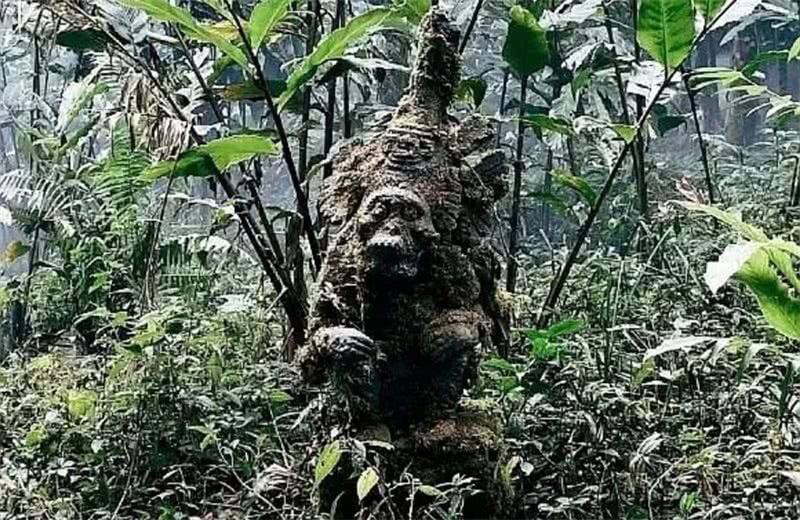 云南虫谷拍摄现场资源流出原著中的场景怪物竟都有