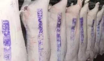 猪肉|红章|印章_新浪网