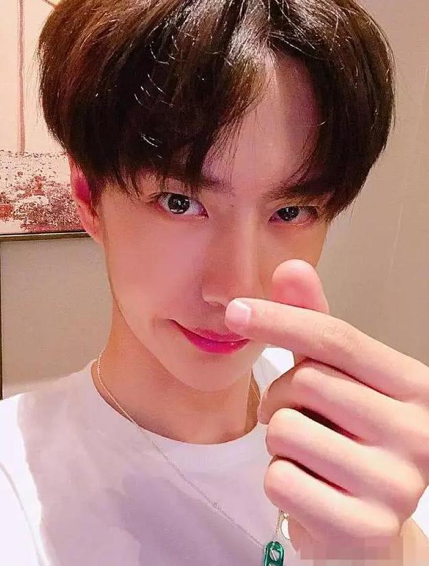 有种年龄叫明星的手鹿晗双手像18岁少年肖战王一博双手差别大