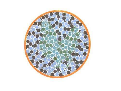 驾照体检色盲图,前3张认不出来,可能就不适合开车