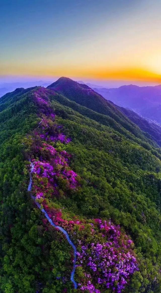 邂逅英山春天徒 步 天