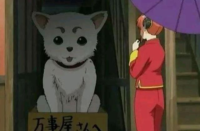 银魂 巨型生物 定春 登场 吃我一 撒娇 把你头给咬掉 神乐 撒娇 火腿 新浪新闻 银魂 巨型生物 定春 登场 吃我一 撒娇 把你头给咬掉 神乐 撒娇 火腿 新浪新闻