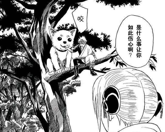 银魂 巨型生物 定春 登场 吃我一 撒娇 把你头给咬掉 神乐 撒娇 火腿 新浪新闻 银魂 巨型生物 定春 登场 吃我一 撒娇 把你头给咬掉 神乐 撒娇 火腿 新浪新闻