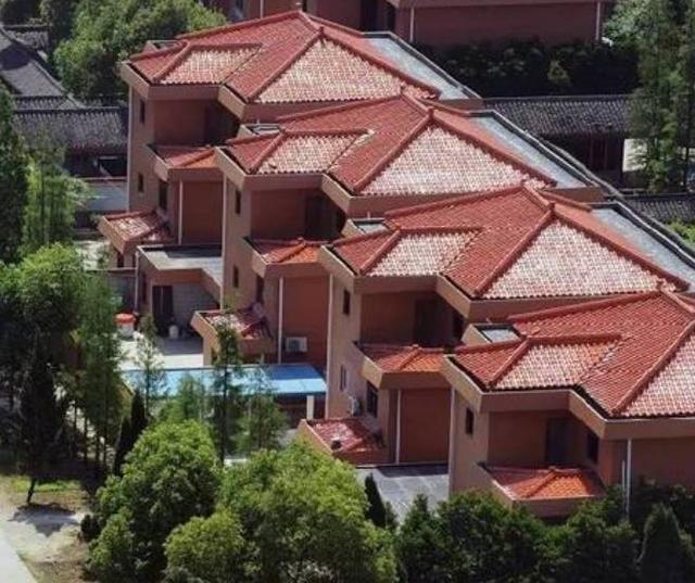 山东低调的“土豪村”,家家户户住别墅,诞生多个全国第一