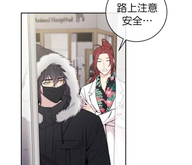 韩漫月下狼嚎穿梭于都市的狼少年被可爱的医生捕获了