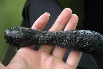 农村的一种叫天星屎的东西卖到1000元一个收购商疯抢