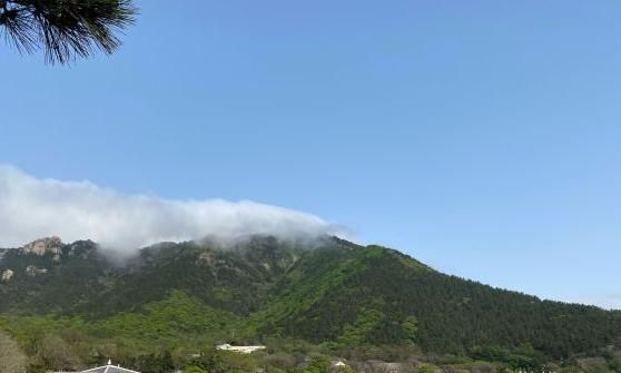 青岛有个海上第一名山,犹如仙境一般,美不胜收,五步一换景!