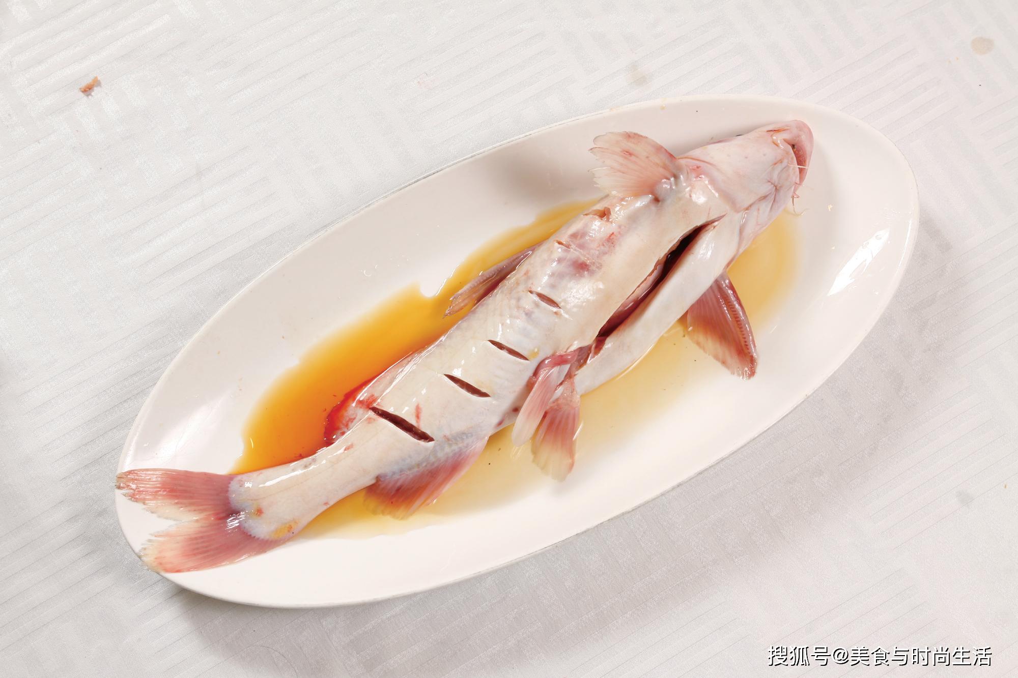 清蒸江团是四川乐山传统名菜,这就教你做,鱼肉鲜嫩无比