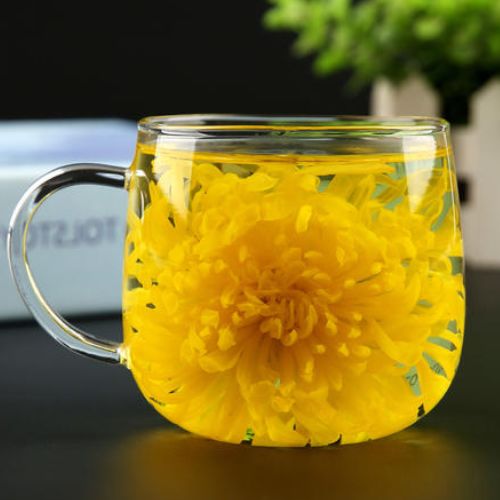 常用菊花泡茶喝降压降火但是有3个禁忌不注意会引发腹泻