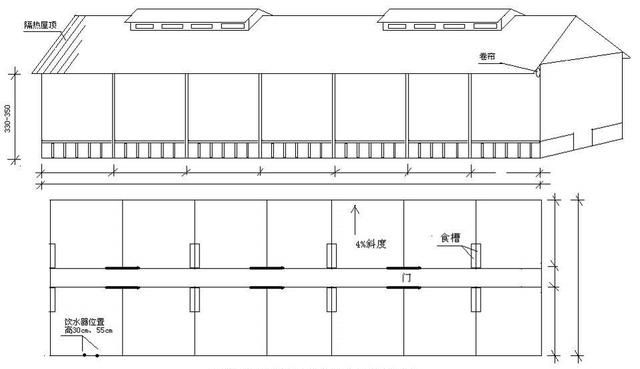500头自繁自养年出栏万头肉猪所需要的基本数据分享|母猪|猪舍|单元