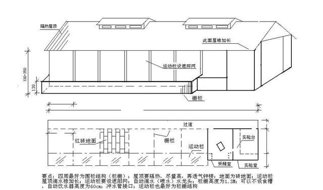 500头自繁自养年出栏万头肉猪所需要的基本数据分享|母猪|猪舍|单元