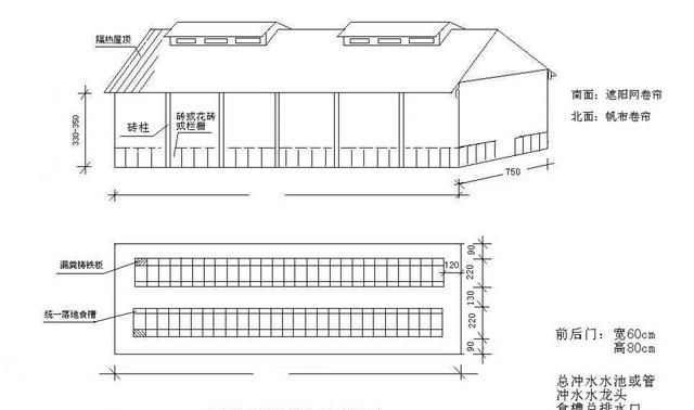 500头自繁自养年出栏万头肉猪所需要的基本数据分享|母猪|猪舍|单元