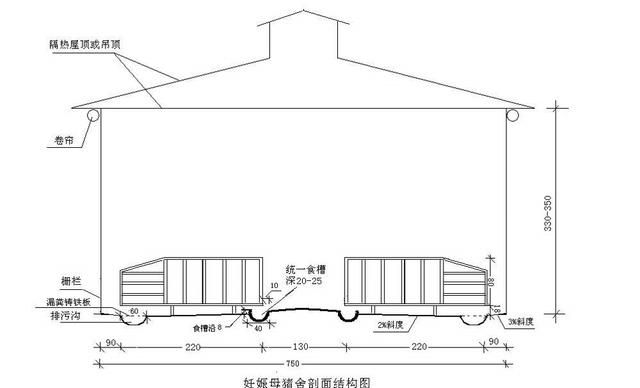 500头自繁自养年出栏万头肉猪所需要的基本数据分享|母猪|猪舍|单元