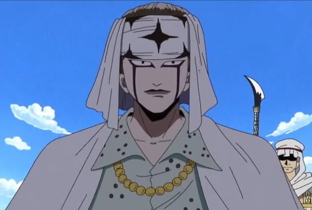 海贼王宠薇薇的只有寇布拉这些人也很宠爱她