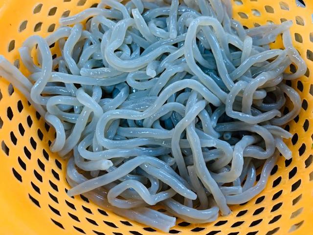 滑溜溜的红薯粉无肉素炒也好吃粉丝吸收汤汁超入味