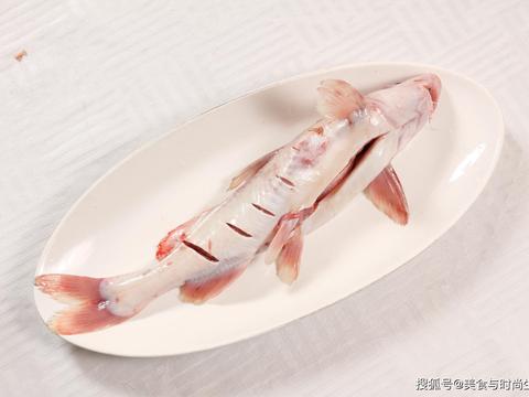 清蒸江团是四川乐山传统名菜,这就教你做,鱼肉鲜嫩无比_新浪新闻