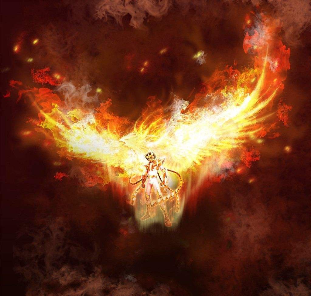 妙用无穷异火在萧炎手中绽放光彩佛怒火莲起家炎神威震八方